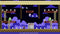 PlataGO! Super Platform Game Maker (PC) e35b7f32-0358-4c1e-9933-90b6fa0bef4a