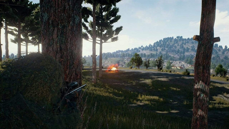 PlayerUnknown's Battlegrounds (PS4) 711719788010