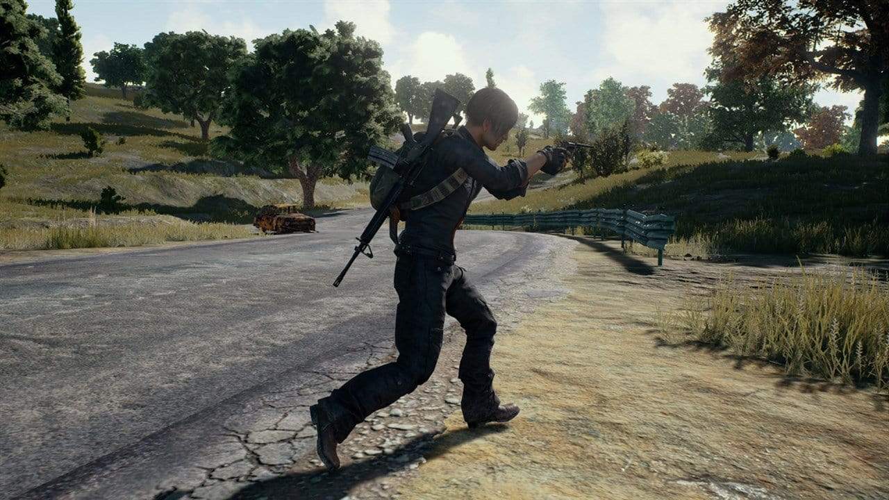 PlayerUnknown's Battlegrounds (PS4) 711719788010