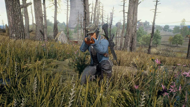 PlayerUnknown's Battlegrounds (PS4) 711719788010