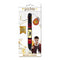 PYRAMID HARRY POTTER (HOGWARTS 9 3/4) MULTI COLOUR PEN 5051265732361