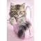 Pyramid RACHAEL HALE - MINNIE MAXI plakat 5050574308625