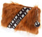 Pyramid STAR WARS (CHEWBACCA) peresnica 5051265730404