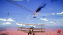 Red Wings: Aces Of The Sky - Baron Edition (Nintendo Switch) 8437020062367