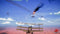 Red Wings: Aces Of The Sky - Baron Edition (Nintendo Switch) 8437020062367