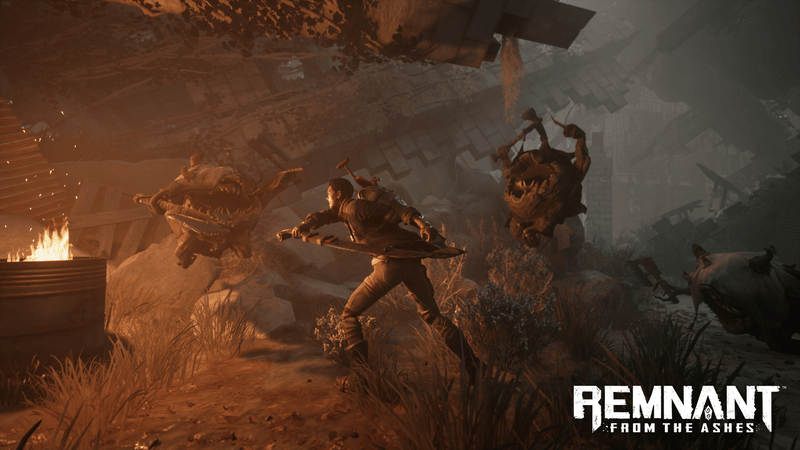 Remnant: From the Ashes (Nintendo Switch) 9120080077226
