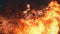 RESIDENT EVIL 3 (PC) c2c80e54-d511-48fe-b252-781505225197