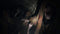 Resident Evil Village (Xbox One & Xbox Series X) 5055060974063