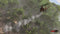 Rising Storm 2: VIETNAM - Digital Deluxe (PC) 41e4d67f-6b4a-42a8-81c8-2ebde40cfabb