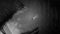 Silt (PC) a665d469-bb27-4351-80d0-9e669df820a2