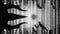 Silt (PC) a665d469-bb27-4351-80d0-9e669df820a2