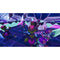 Spacebase Startopia (PS4) 4020628712396