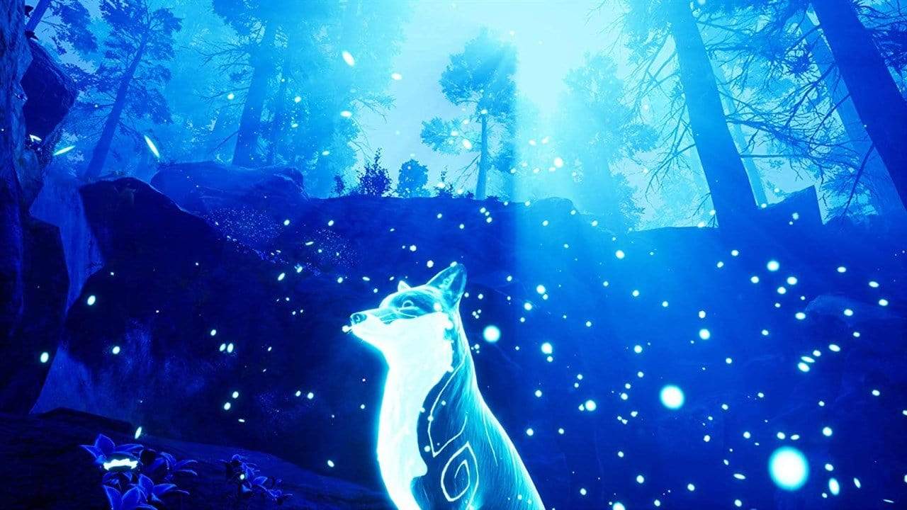 Spirit of the North (Nintendo Switch) 5060264375233