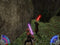 Star Wars Jedi Knight : Jedi Academy (PC) 17f39ca5-0275-4523-bcbe-7ac82a443698