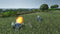 Steel Division: Normandy 44 - Back to Hell (PC) 5a0f9f19-5fd5-469f-af70-b9b5fc7c8b05
