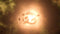 Stellaris: Apocalypse (NEW) (PC) 0f465578-f85d-455f-8c51-f4391d249378