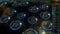 Stellaris: Utopia (NEW) (PC) 7df60329-0c5e-494b-b8f0-536d9e55f7b8