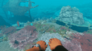 Stranded Deep (Nintendo Switch) 5060760885885