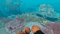 Stranded Deep (Nintendo Switch) 5060760885885