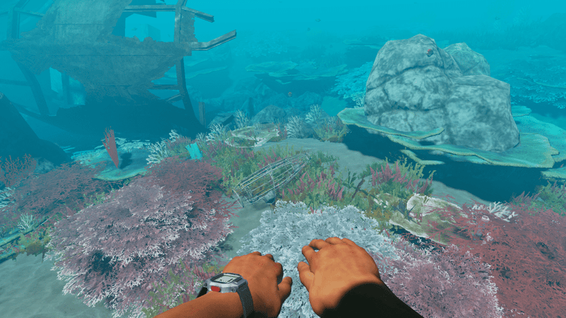 Stranded Deep (Nintendo Switch) 5060760885885