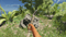 Stranded Deep (Nintendo Switch) 5060760885885