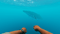 Stranded Deep (Nintendo Switch) 5060760885885