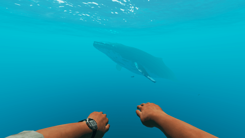 Stranded Deep (Nintendo Switch) 5060760885885