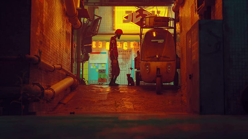 Stray (Playstation 5) 811949035196
