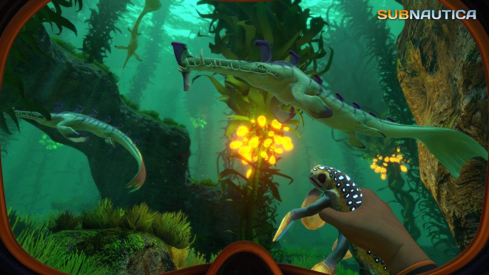 Subnautica a6db4a39-f264-48cd-98ff-9ed24060e3bc
