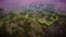 Surviving The Aftermath - Day One Edition (PS4) 4020628698621