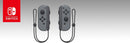 SWITCH JOY-CON PAIR GREY 045496430559