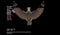 Teleglitch: Die More Edition (PC) 902252c4-797f-44cb-a3a9-08d8a415fa03