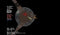 Teleglitch: Die More Edition (PC) 902252c4-797f-44cb-a3a9-08d8a415fa03