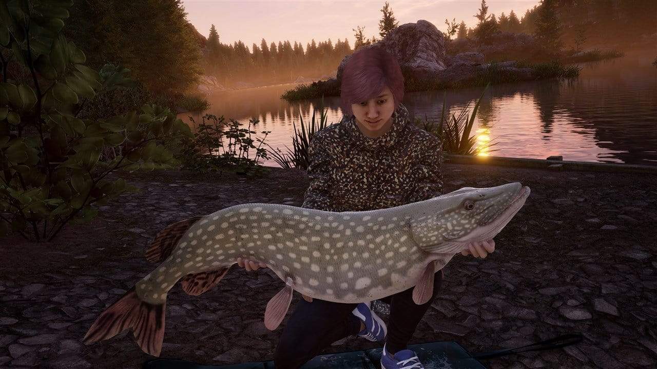 The Catch: Carp & Coarse - Collector's Edition (PS4) 5016488137126
