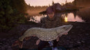 The Catch: Carp & Coarse - Collector's Edition (PS4) 5016488137126