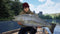 The Catch: Carp & Coarse - Collector's Edition (PS4) 5016488137126