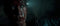 The Dark Pictures Anthology - Triple Pack (PS4) 3391892016468