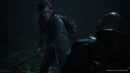 The Last of Us Part II - Collectors Edition (PS4) 711719336808