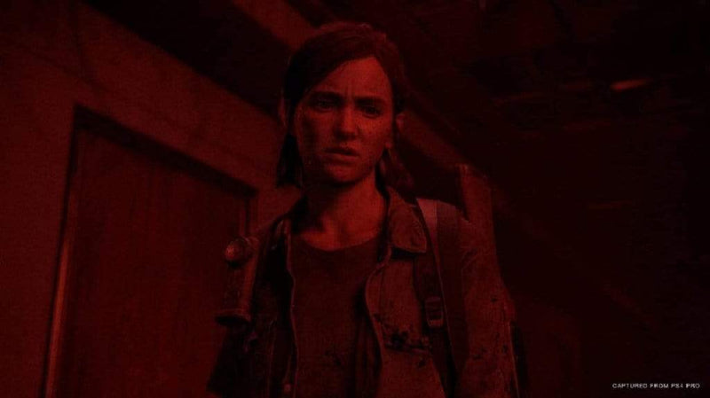 The Last of Us Part II - Special Edition (PS4) 711719338307