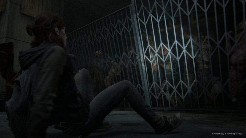 The Last of Us Part II - Special Edition (PS4) 711719338307