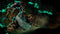 Torment: tides of Numenera (playstation 4) 5902385104289