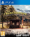 Trüberbrook (PS4) 5060264373383