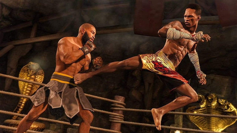 UFC 4 (Xbox One & Xbox Series X) 5035226122491