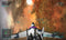 Vector Thrust (PC) cc578f18-a275-4dea-962d-763f0a2c797e
