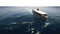 Victory at Sea: Pacific - Deluxe Edition (PC) 5055957701727