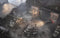War Mongrels - Renegade Edition (Playstation 5) 8437024411246